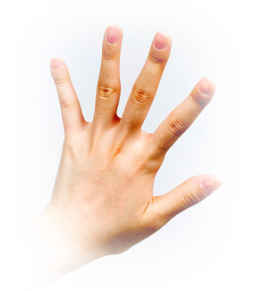 fingernails-e1550993446447